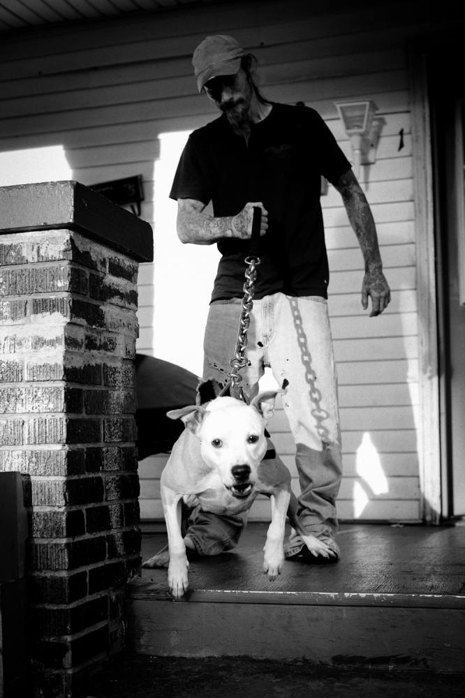 Bloodbuzz -                 Lunging pit bull, East End neighborhood...