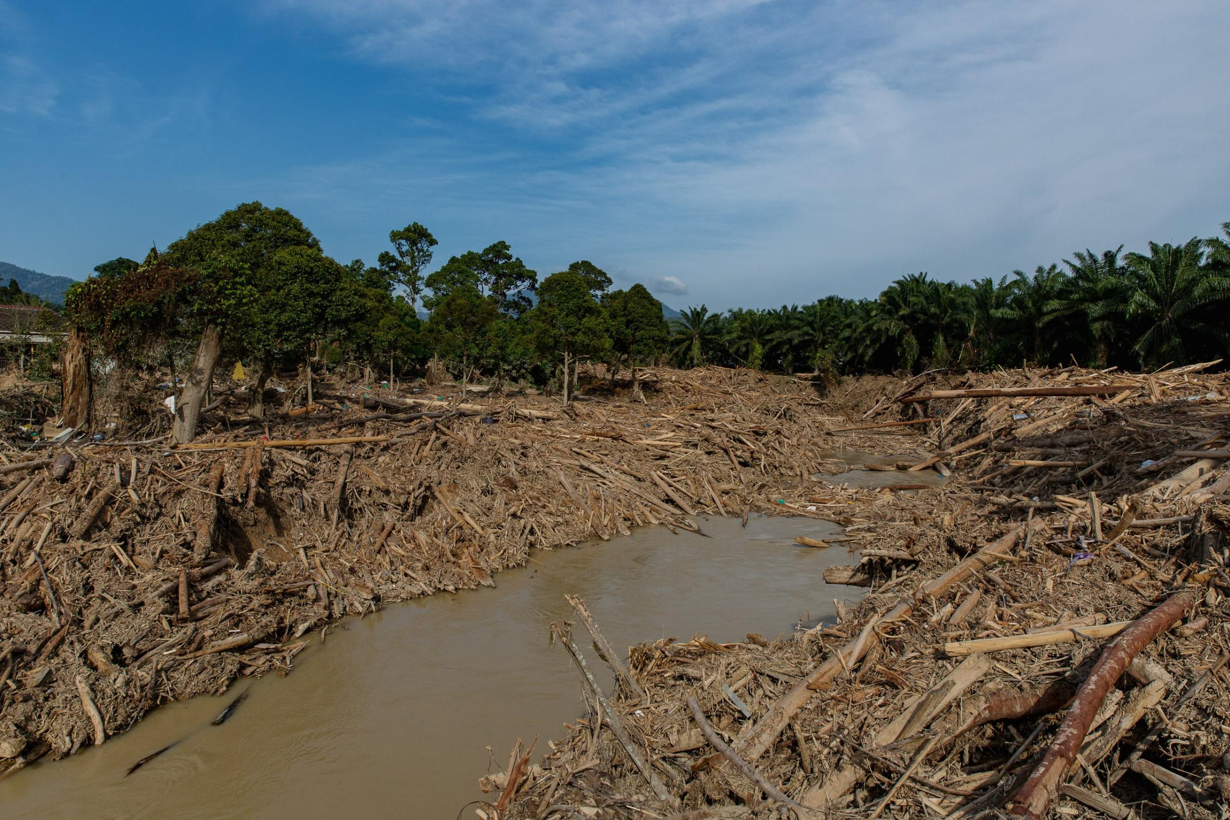 Bah: 2021 Big Flood - Drifted logs along the Telemong River that were carried...