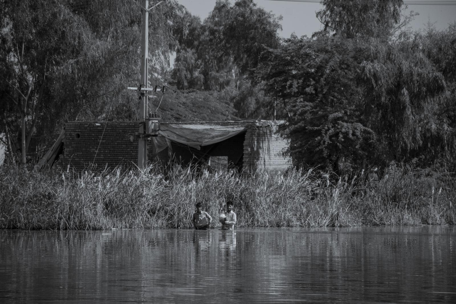Discourses of Aftermath in Shikarpur - Two boys cross the flooded field while carrying a child...