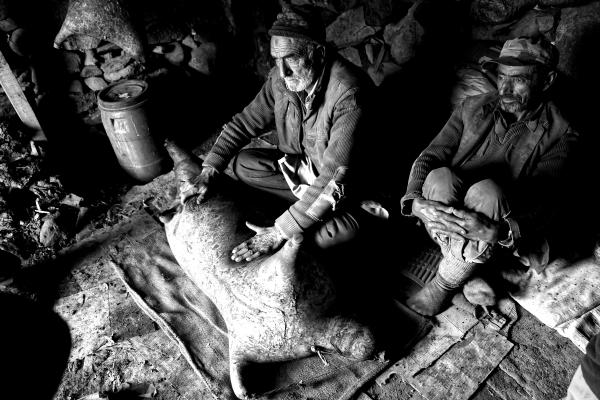 Shepherd making butter