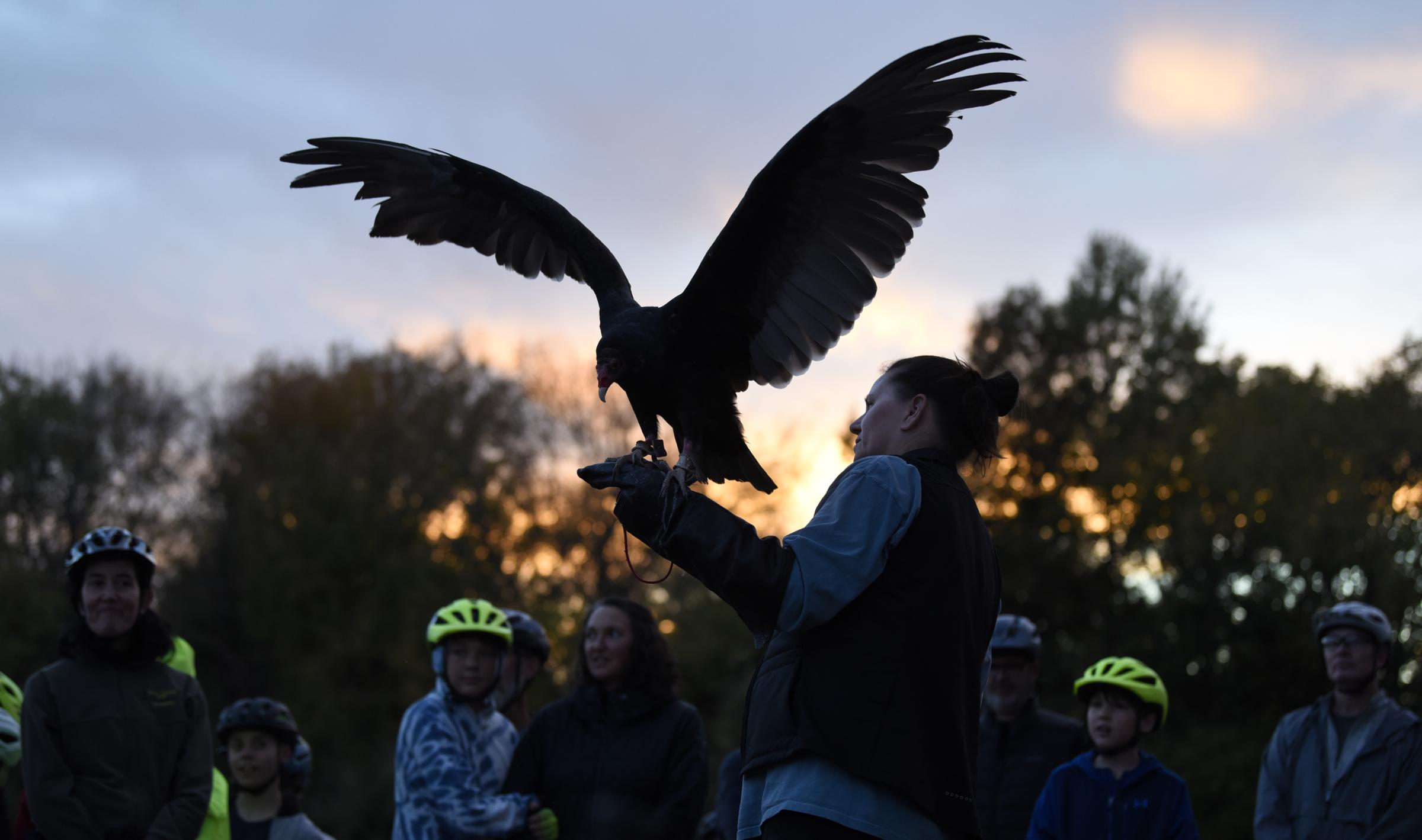 Community, competition and mountain biking - Lizette Somer holds a raptor while answering questions...