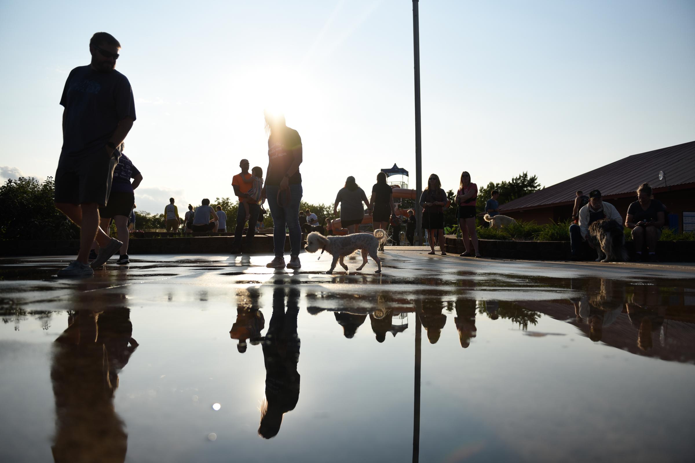 News & Feature - Bailey and her owner Mina Hayes walks through puddles on...