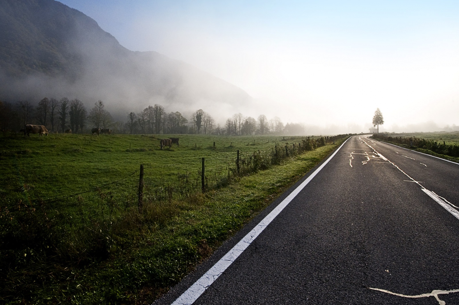 Art and Documentary Photography - Loading Sav_Proposte121.jpg
