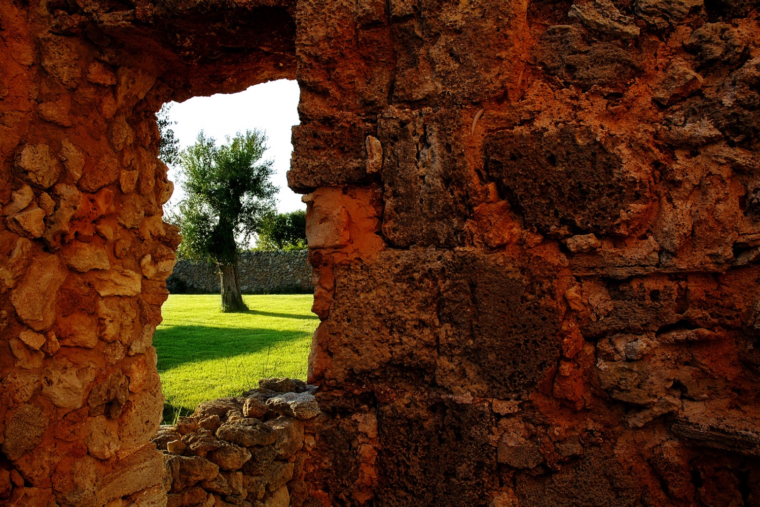 Art and Documentary Photography - Loading Sav_Proposte118.jpg