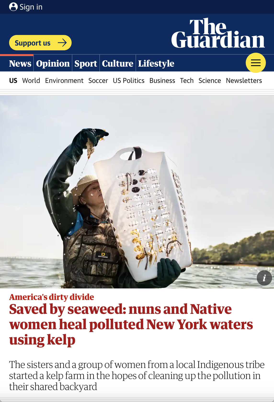 The Guardian: Saved by seaweed: nuns and Native women heal polluted New York waters using kelp