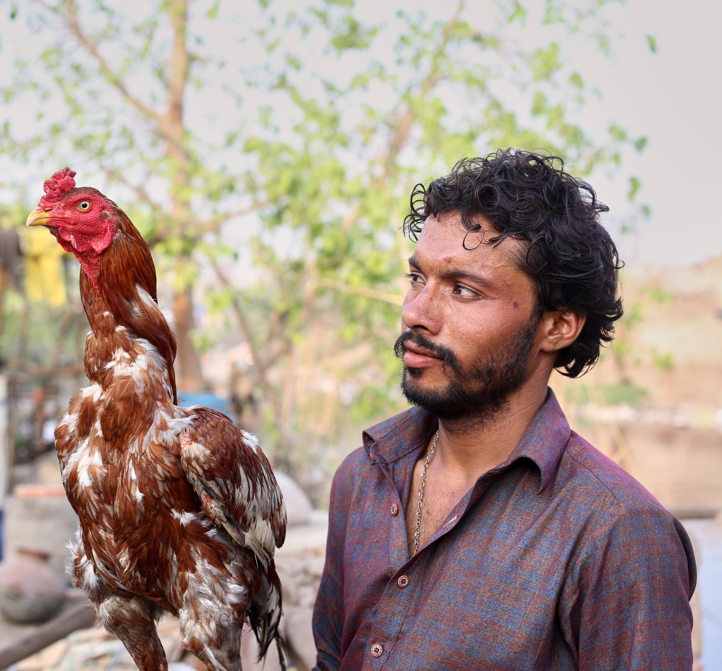 Labour of Love  -   Munir is very fond of pets. He has hens, pigeons and a...
