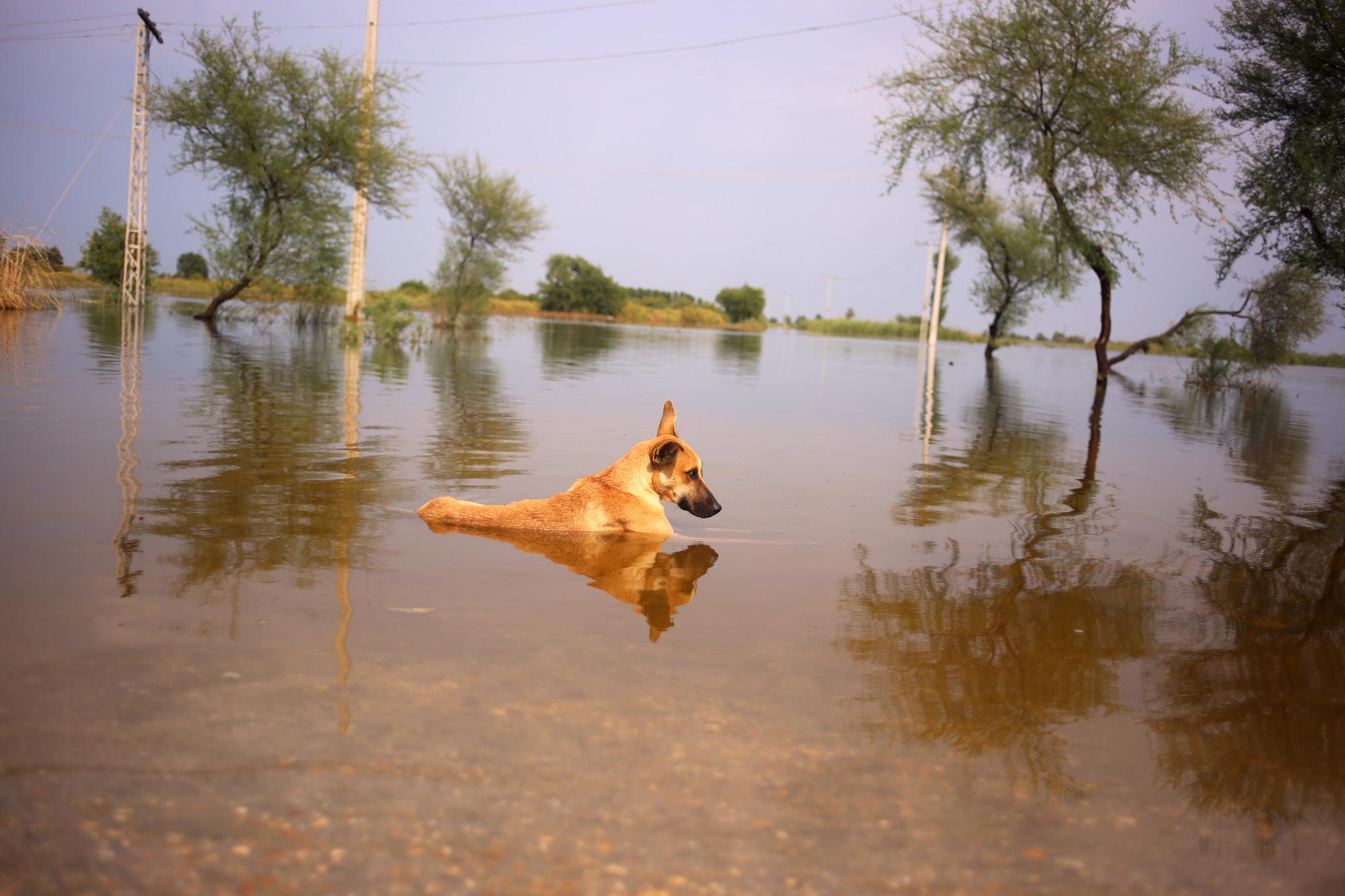 Floodflash in Pakistan 2022