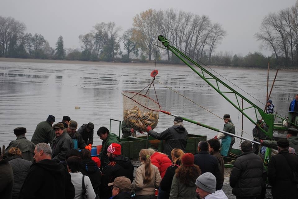 Art and Documentary Photography - Loading nabirani.jpg