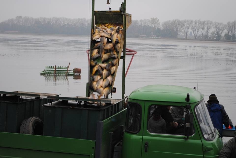Art and Documentary Photography - Loading nakladani.jpg