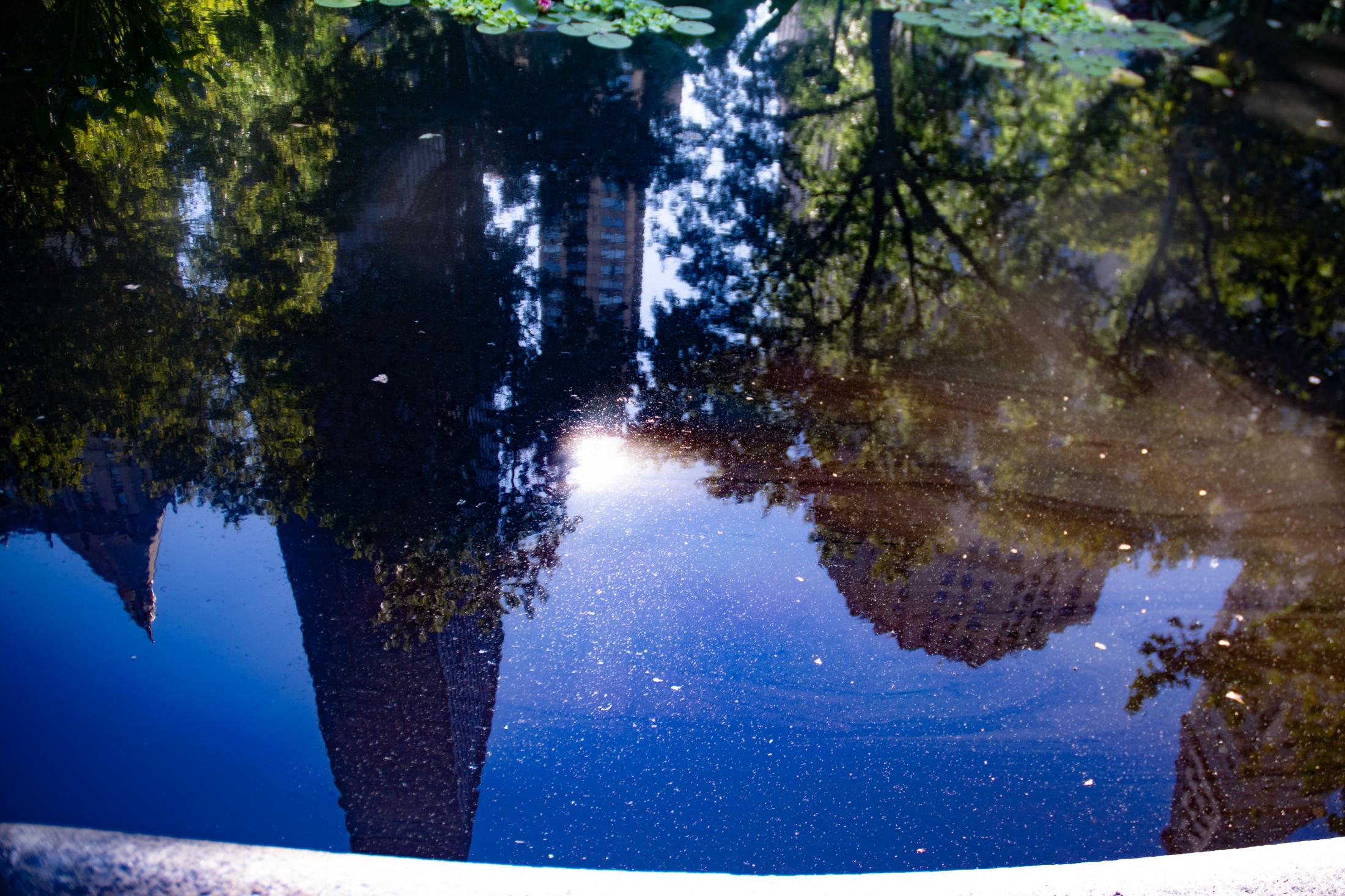 Still Waters Run Deep: Where is Latin American Photography Heading?