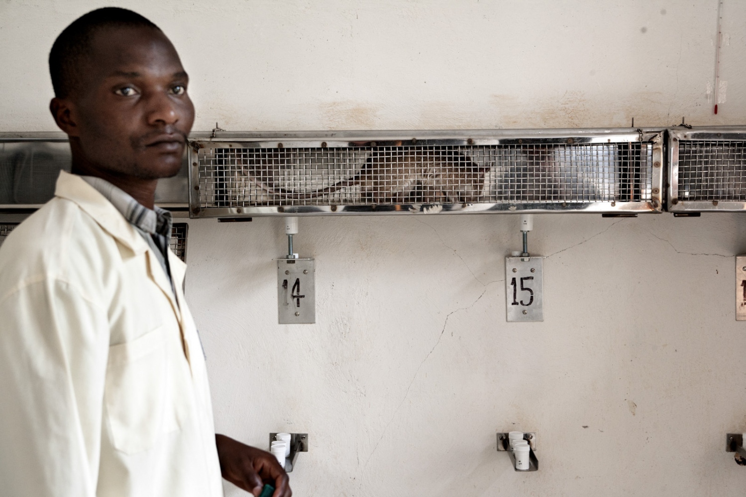 Art and Documentary Photography - Loading Hero_Rats_-_Ratas_Heroes__-_david_rengel-21.jpg