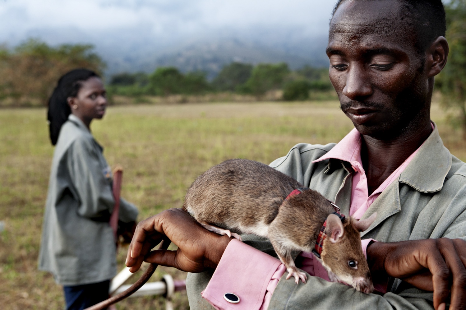 Art and Documentary Photography - Loading Hero_Rats.jpg