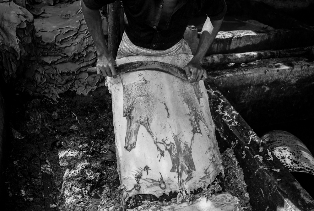  A tannery worker is wipping ou...aka, Bangladesh, 1 March 2014. 