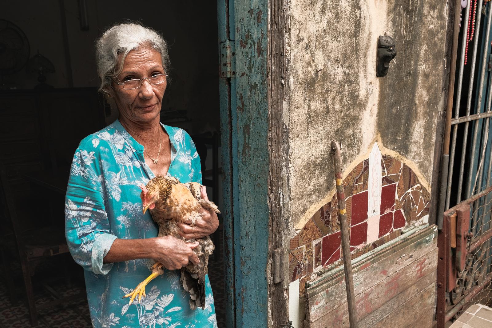 Portrait of Alfa hugging a chicken