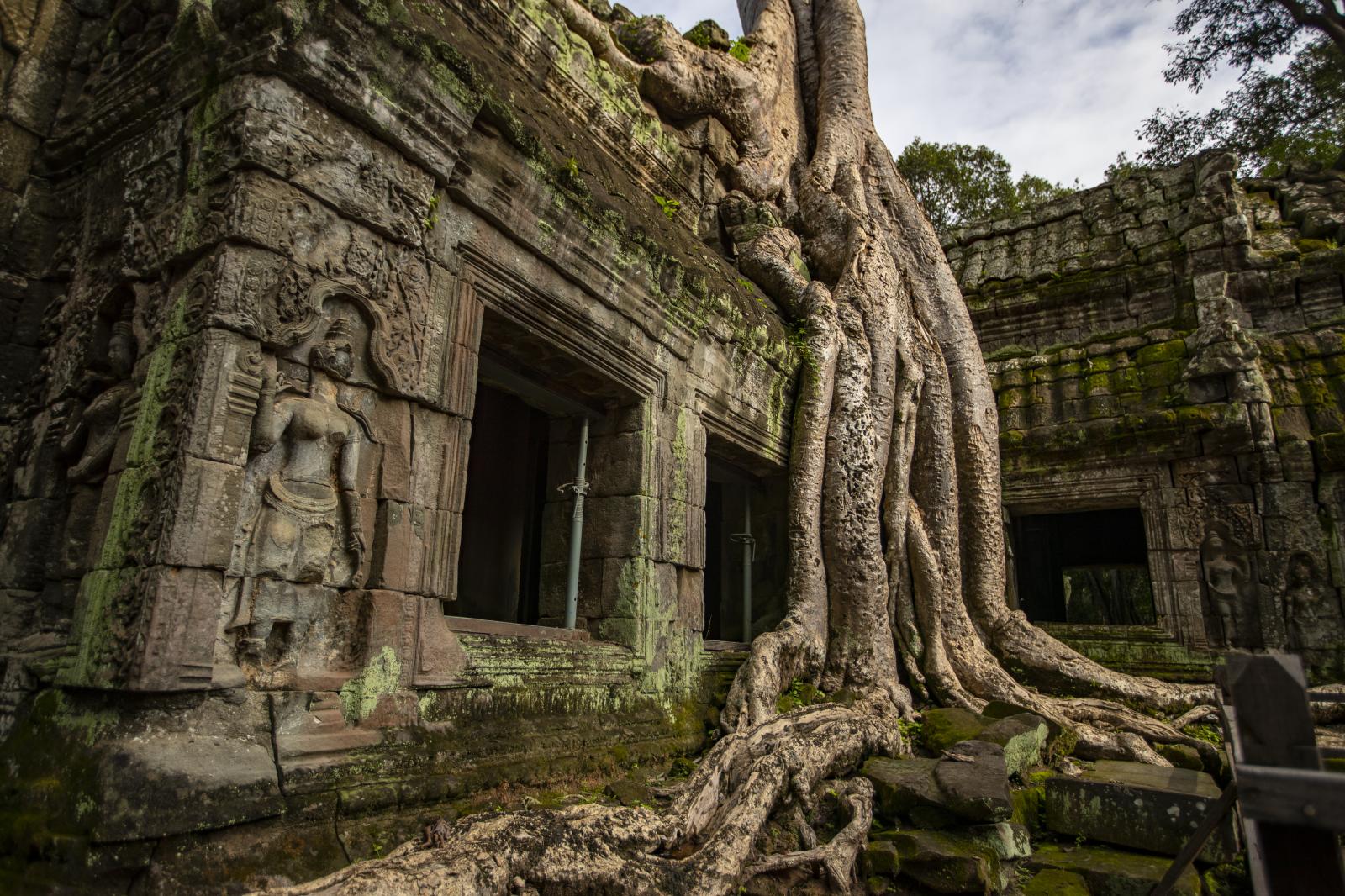 Ta Prohm Temple | Buy this image