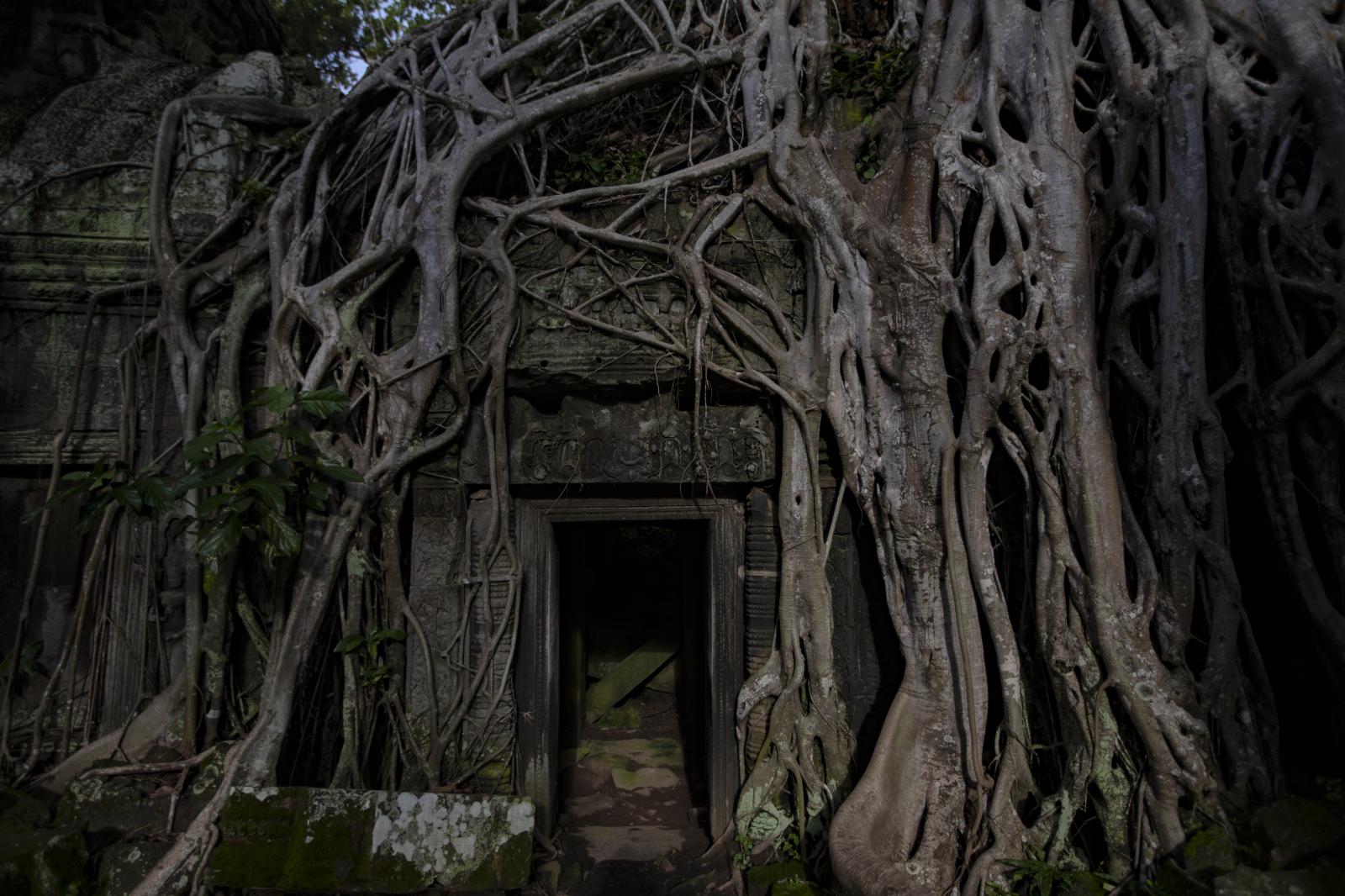 Ta Prohm Temple Doorway | Buy this image
