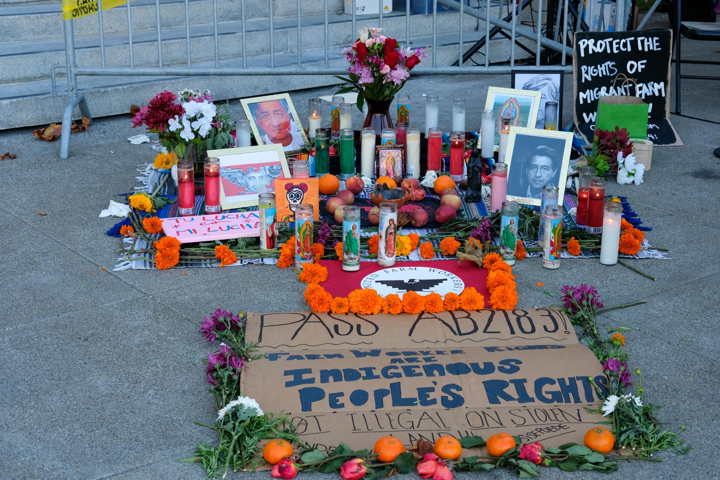 Farmworkers Solidarity Vigil - An altar decorated with candles, photos, and signs is...
