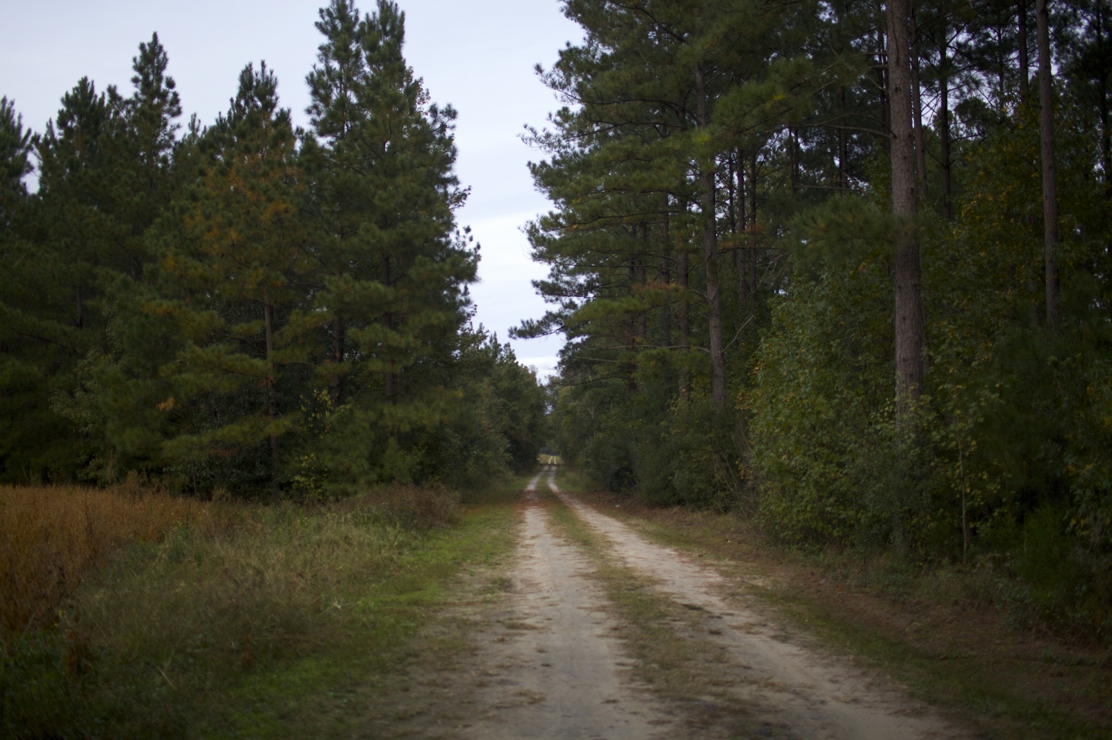 Art and Documentary Photography - Loading bdriscoll_6.jpg