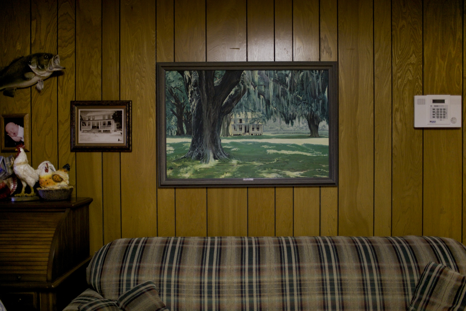 Art and Documentary Photography - Loading bdriscoll_8.jpg
