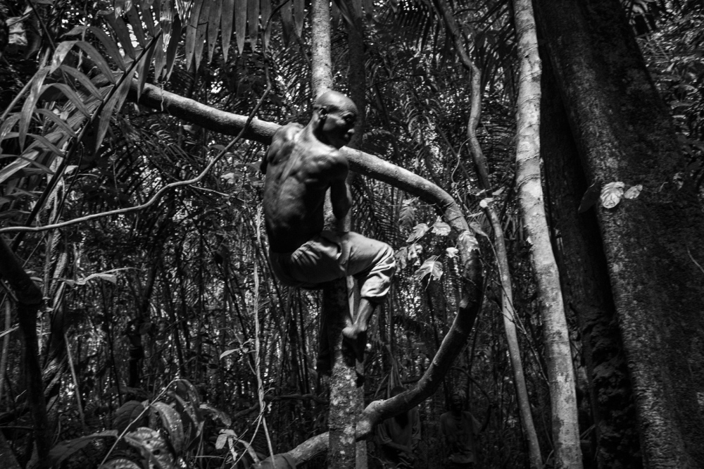 A baka pygmie man comes down a ...of Ndjibot, Dja Faunal Reserve.