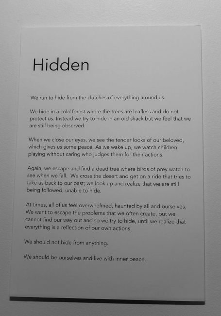 Hidden (USA, 2014)
