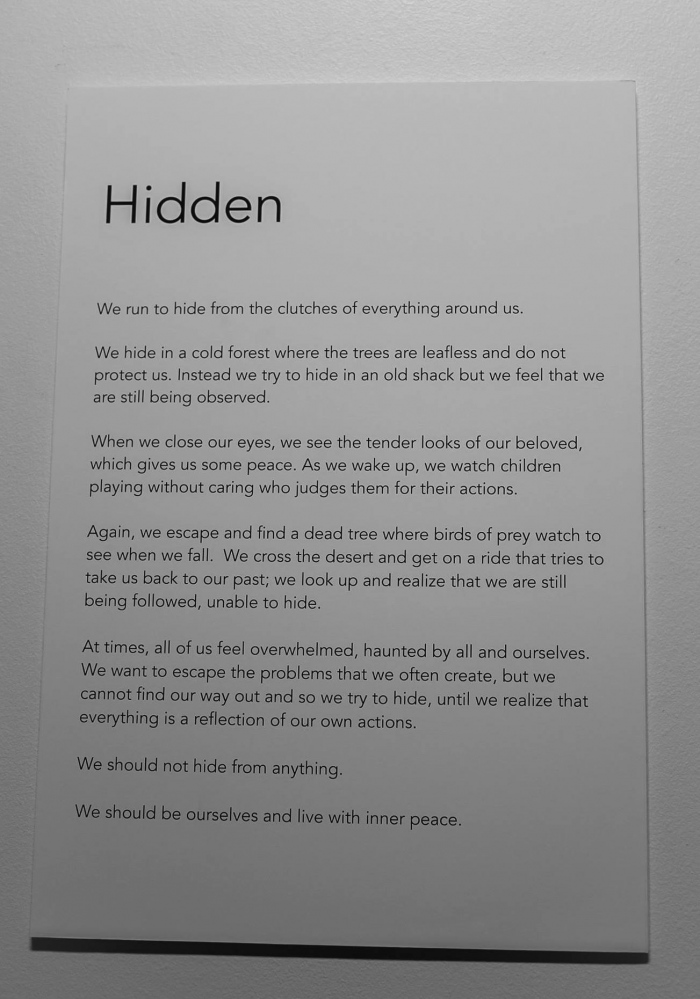 Hidden (USA, 2014) -                 
                