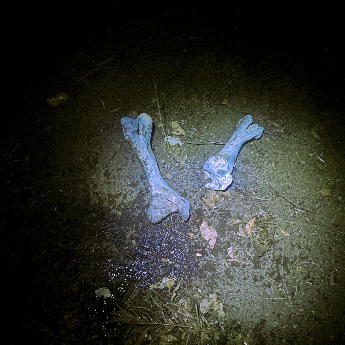 Phobophobia