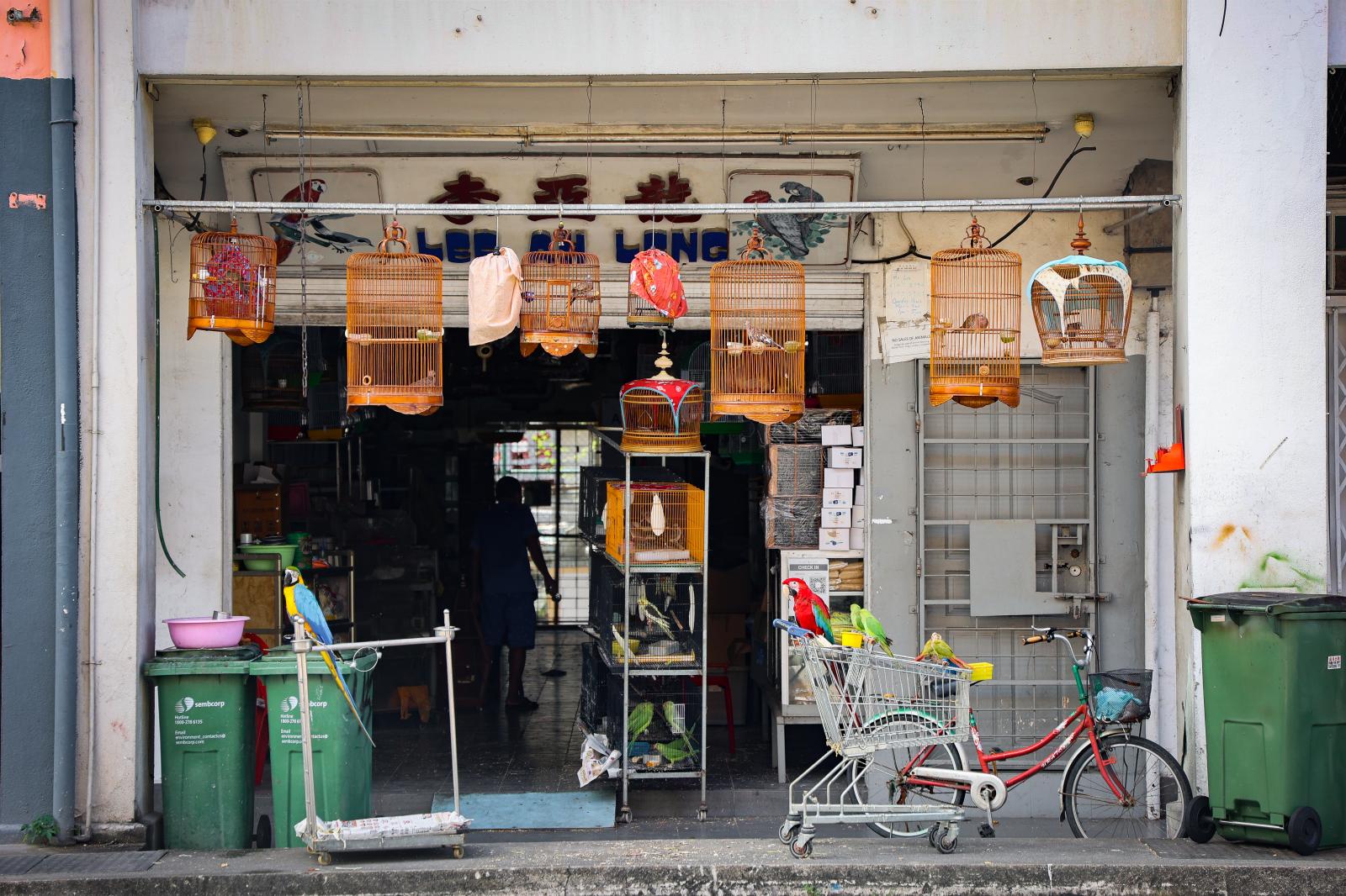 Lee Ah Leng Bird Shop