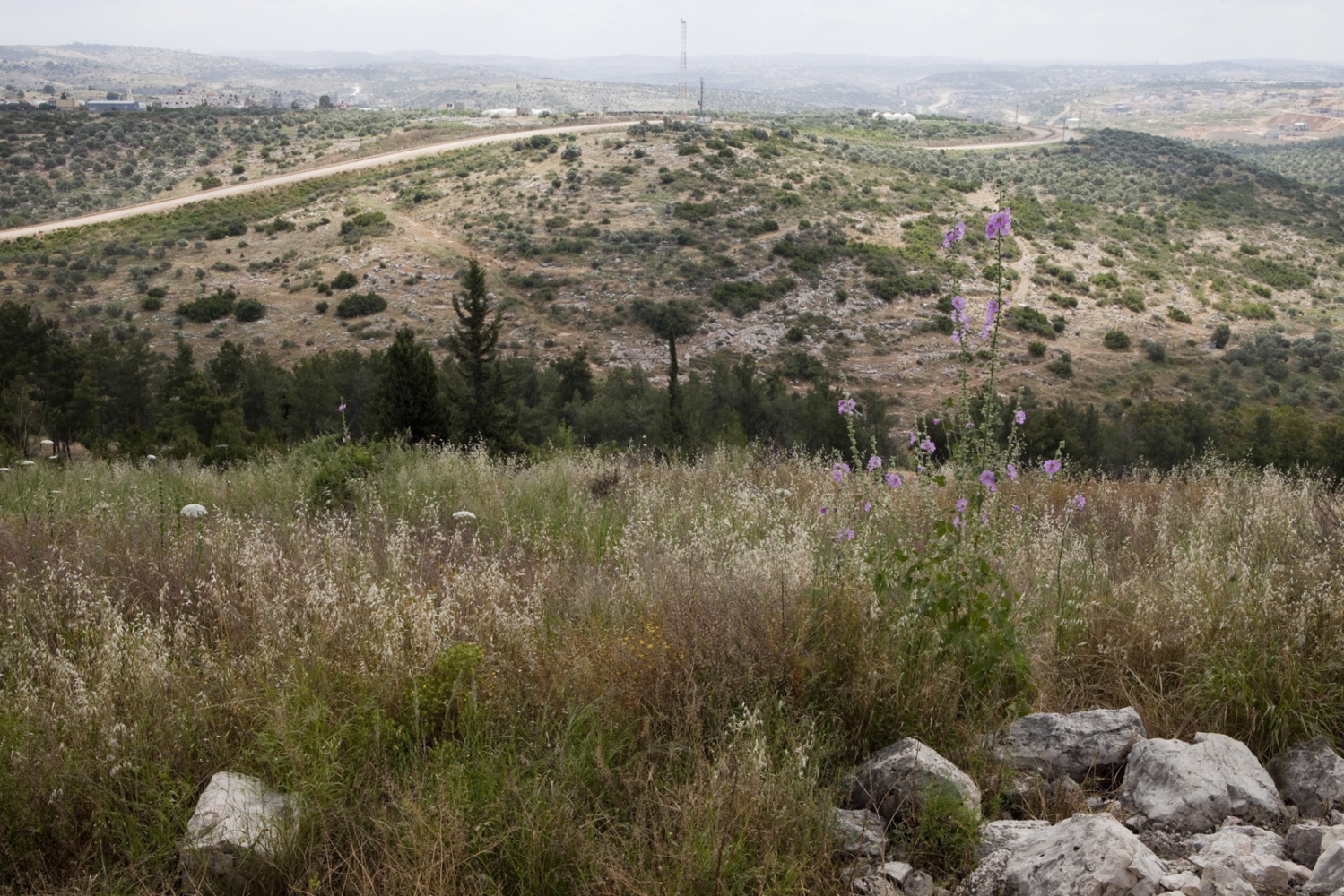  The view looking east across the West Bank from Hezi observation point - a popular barbecue spot for Israelis at the weekend. The Green Line runs along the valley bottom right to left, as the separation barrier (the track & fence running across the hill opposite) snakes out into the West Bank in the distance. 