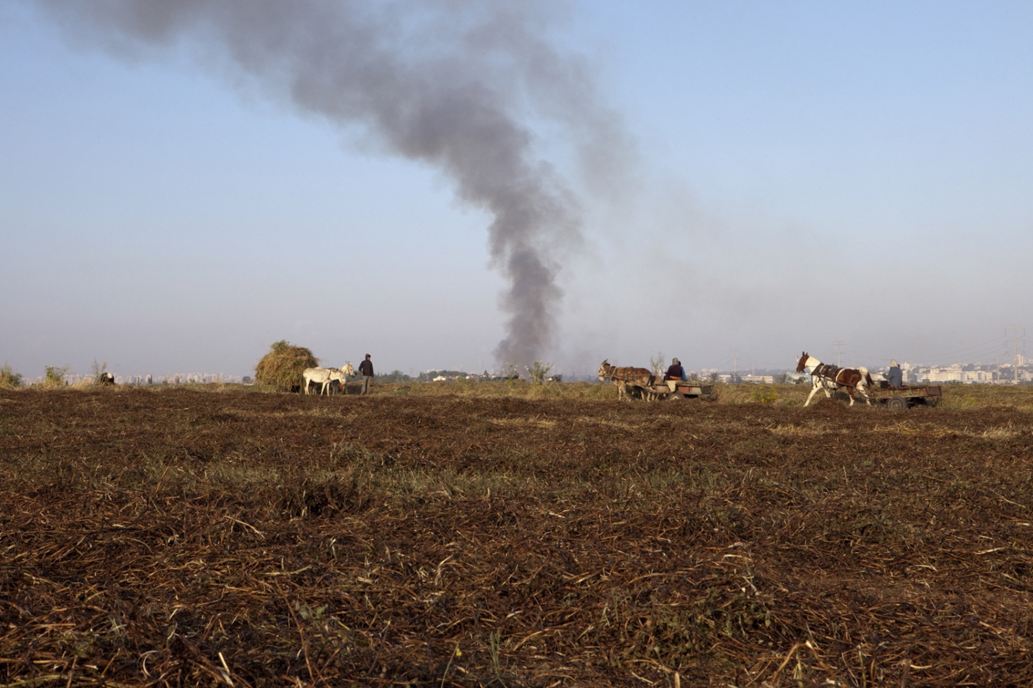 A fire burns beyond a field, as Palestinian farmers cross the invisible line, that pases in the middle of the field, to gather grass for their donkeys. Viewed from the Green Line looking back into Israel. 