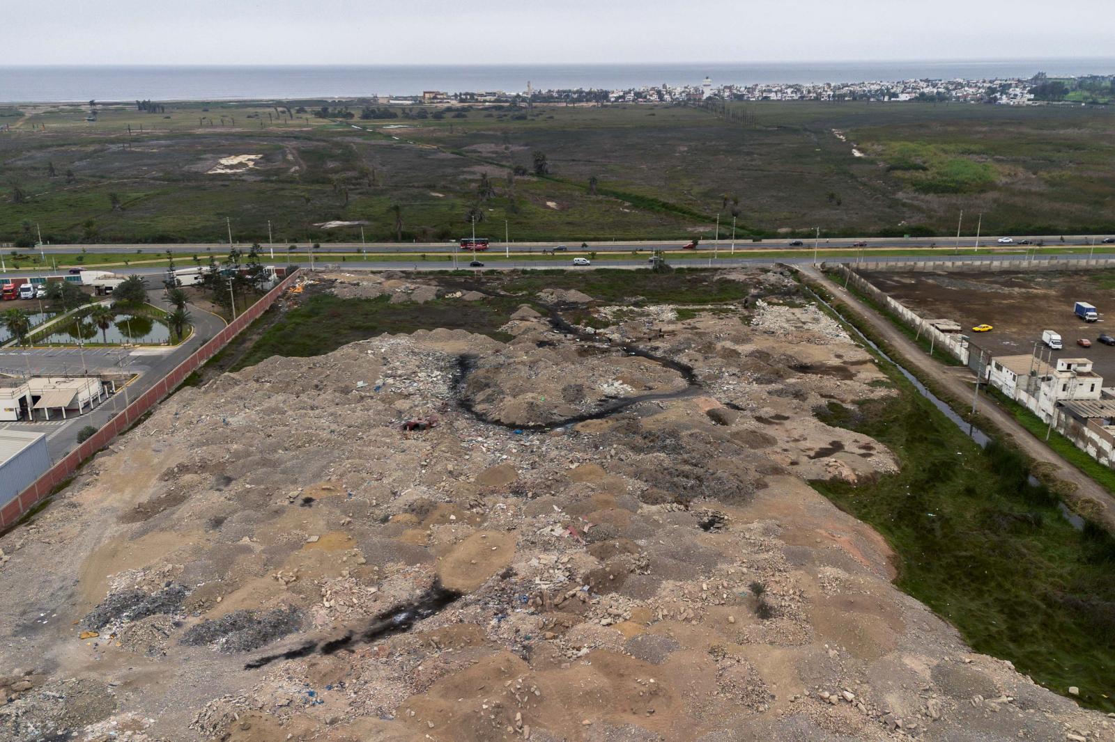 Aves migratorias afectadas por contaminación en Pantanos de Villa