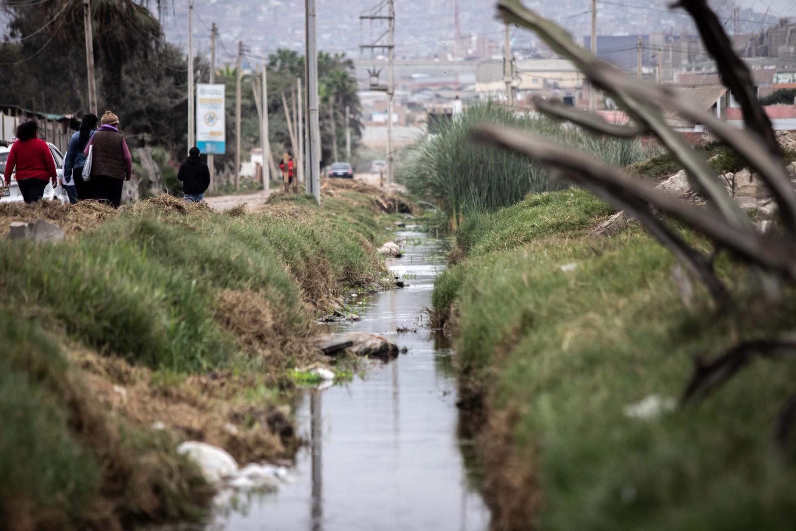 Aves migratorias afectadas por contaminación en Pantanos de Villa