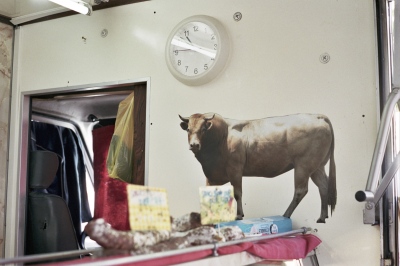 Image from xi: State of the Union - The butcher shop, Arles, France