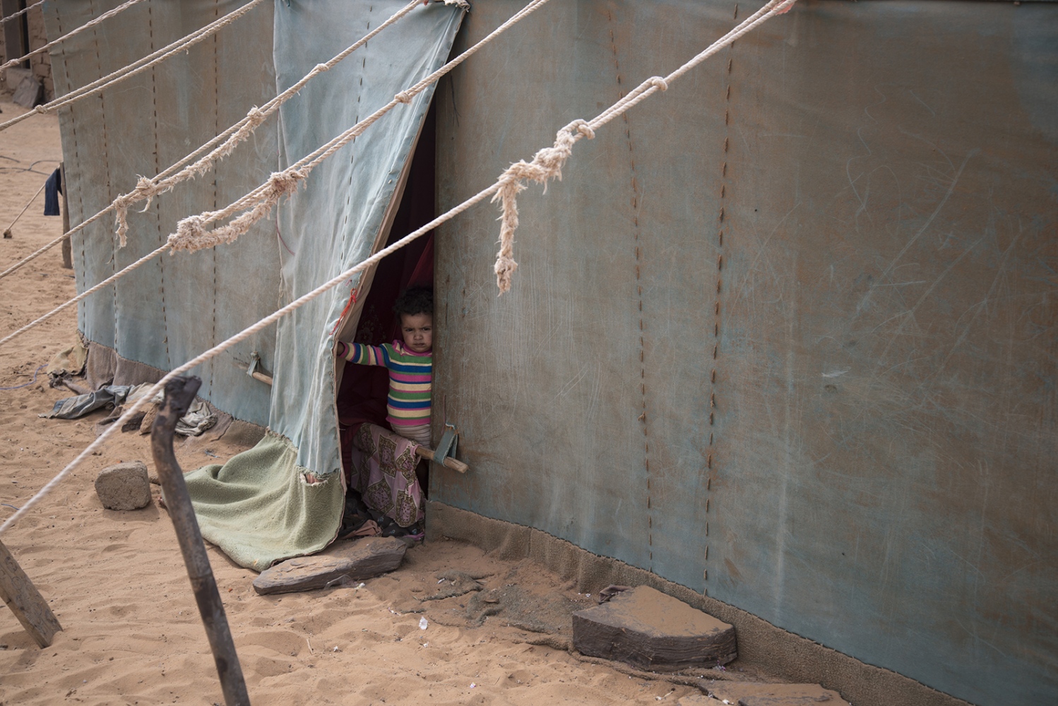 Behind The Wall, life of the Sahrawi -  A little baby looks out of a tent in Dakhla 