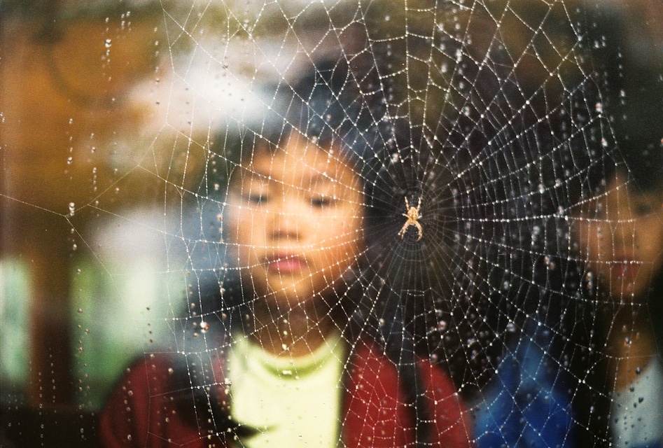 web_window