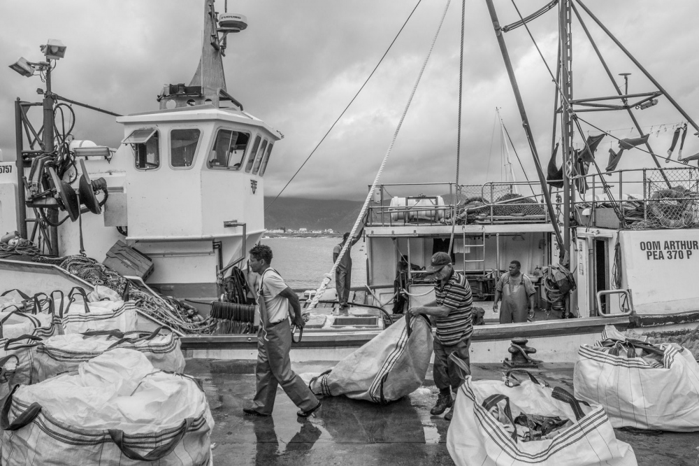  Commercial fishing is now domi...from a once thriving industry. 