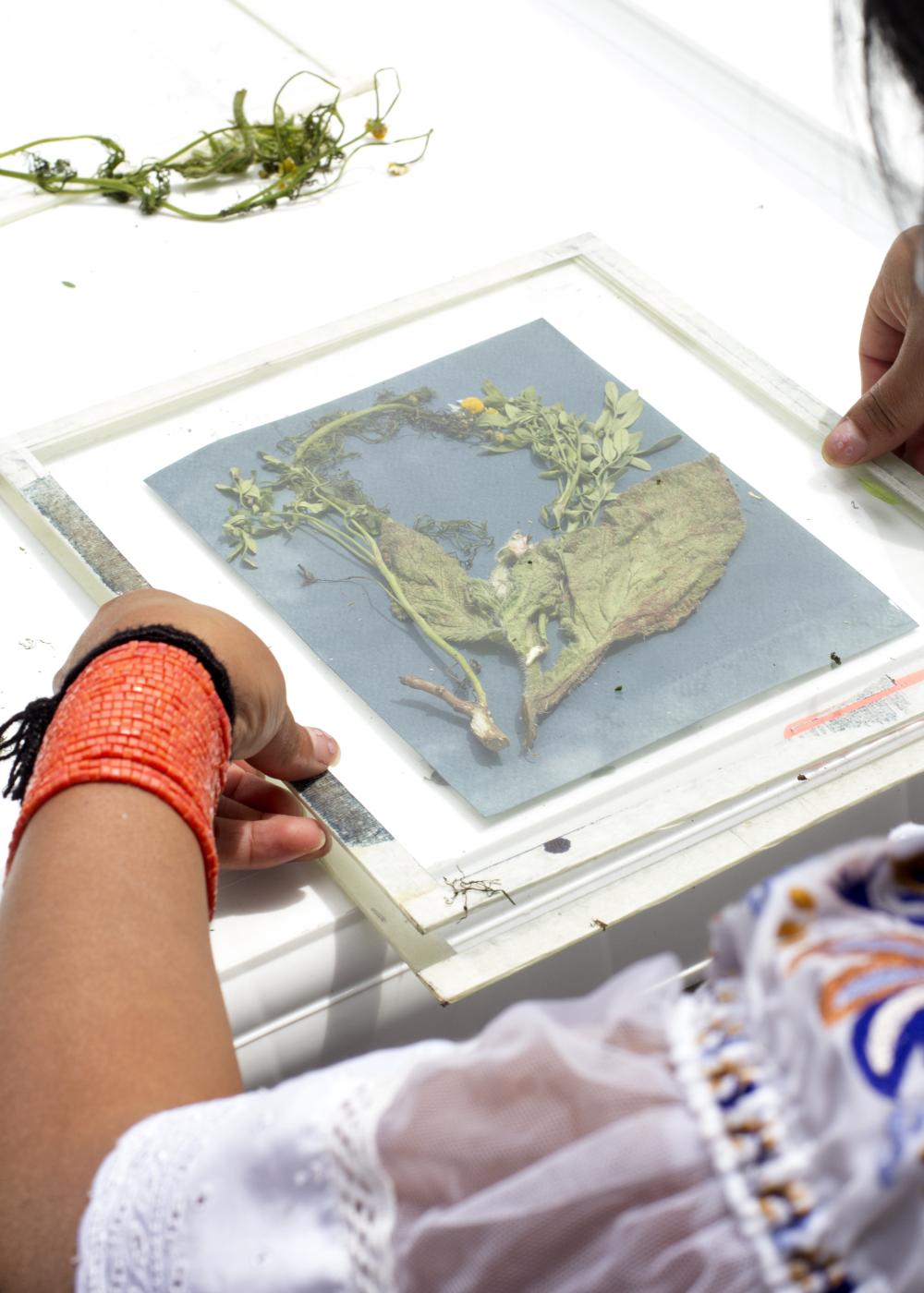 Cyanotype workshop I