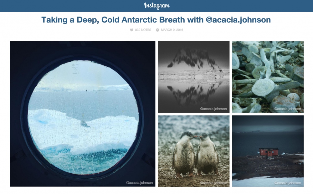 Antarctic Instagram Feature