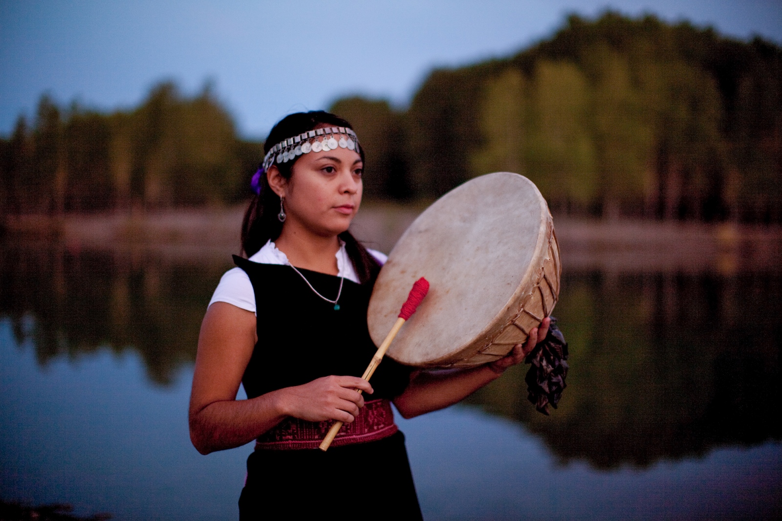 Mapuche Legacy - 