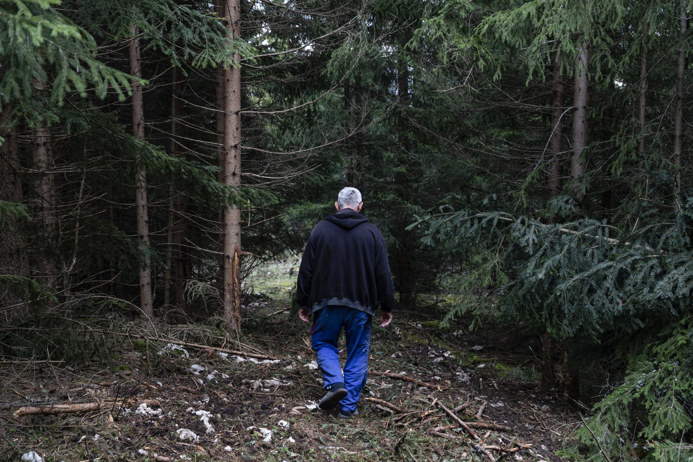 Les Barons du bois -  Slavko Nović traverse la forêt qu'il tente de...