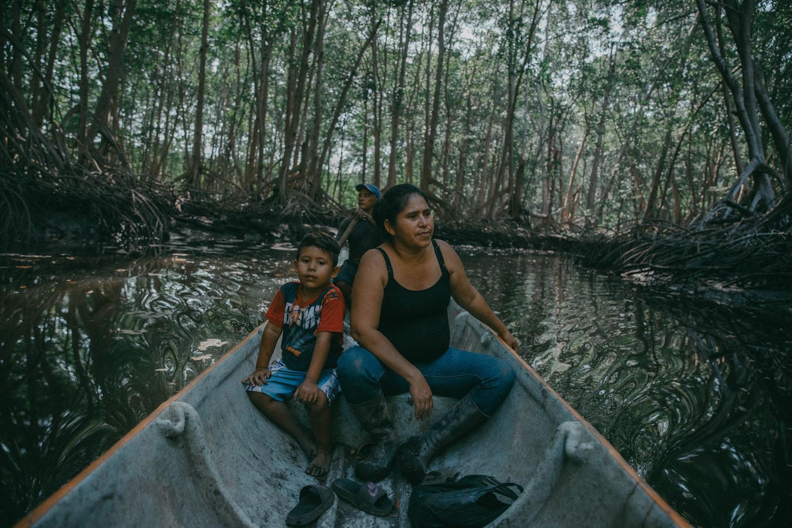 The Mangroves Drowning in the Sea