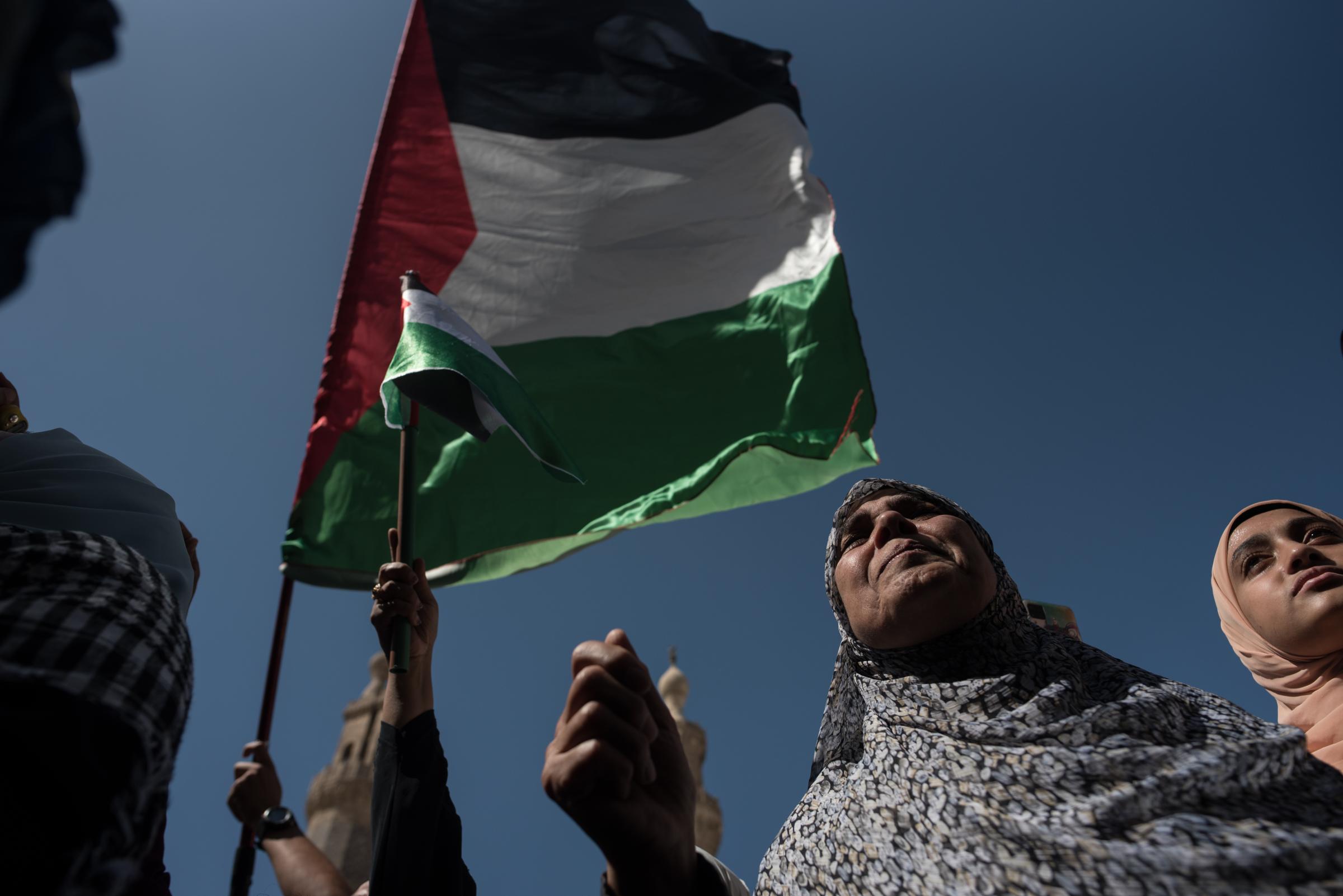 Pro-Palestinian demonstrations - 