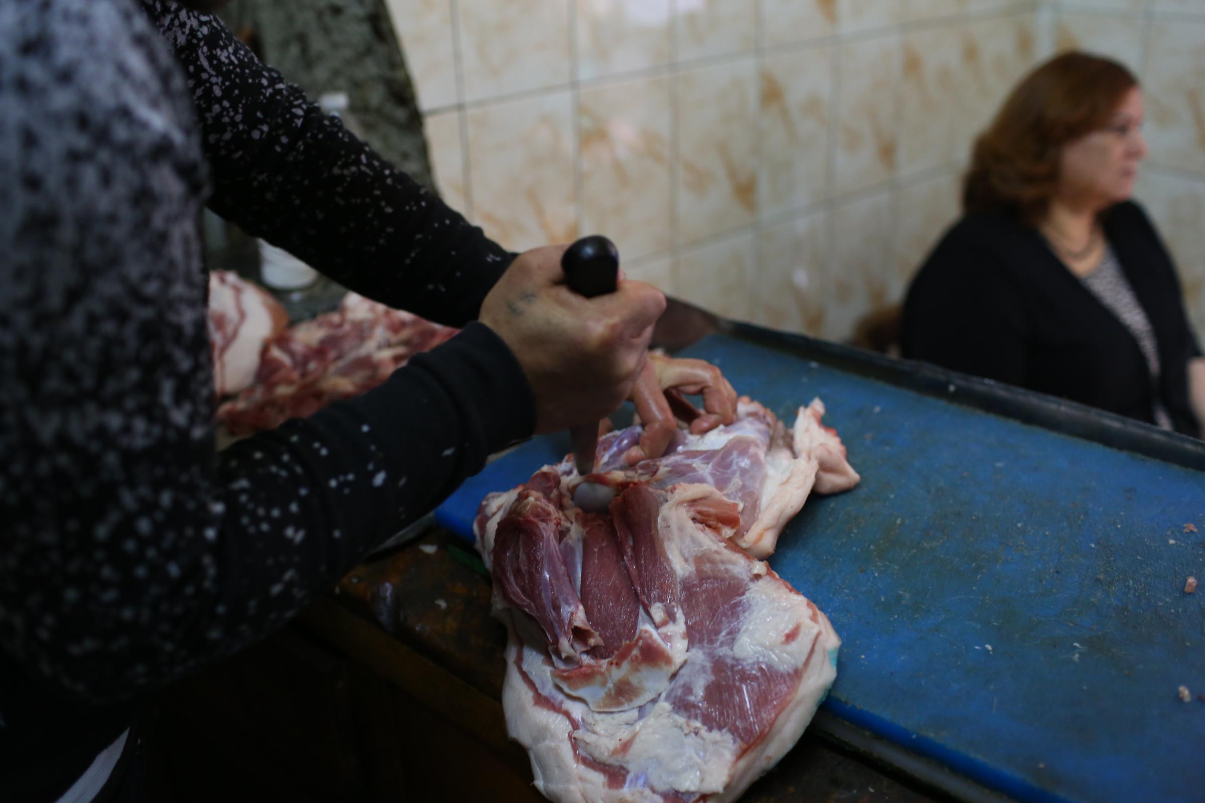 Pig farming in Cairo - 