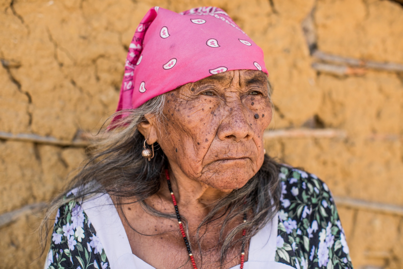 Fuerza Mujeres Wayuu - 