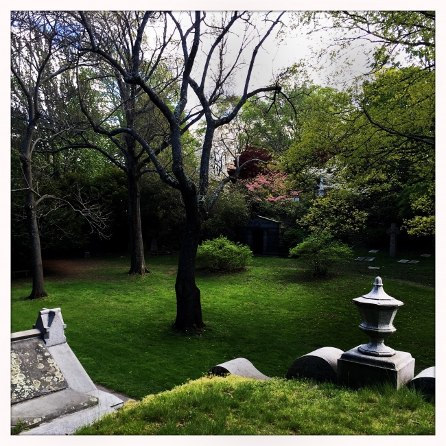 Sunday walk in Mount Auburn Cemetery in Cambridge, Massachusetts"¬