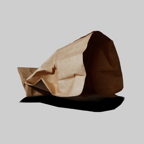 Little Brown Paper Bag -                 
                