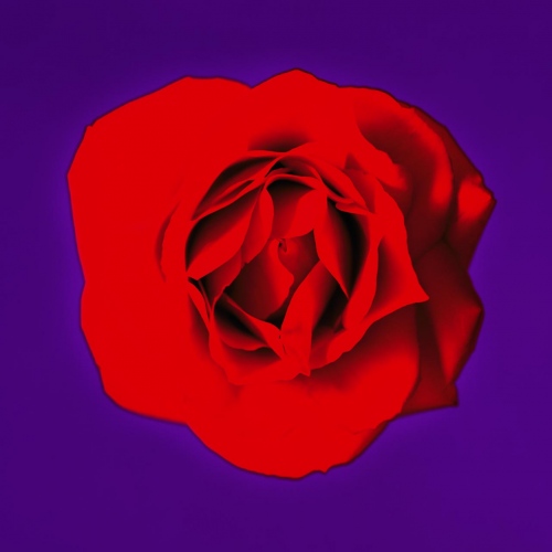 Image from Flowers