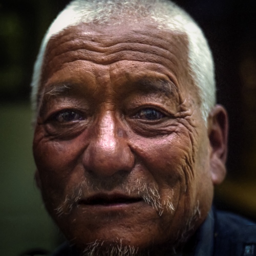 The People's Health (Hiatus) - A Chinese medical practioner sits for a portrait near...