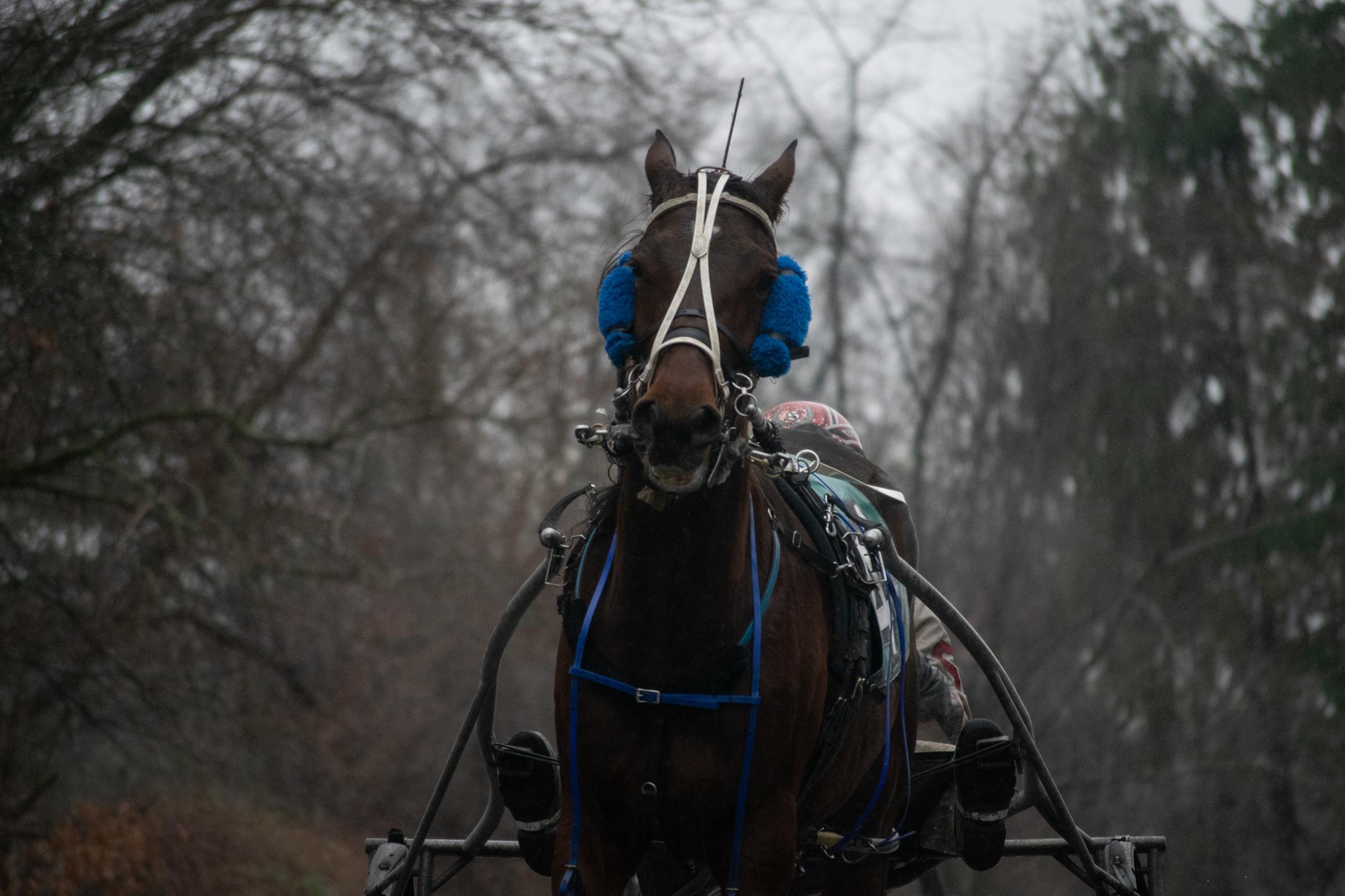  Horses compete in the last day of harness racing at the country&rsquo;s oldest racetrack Freehold Raceway in Freehold, New Jersey on December...