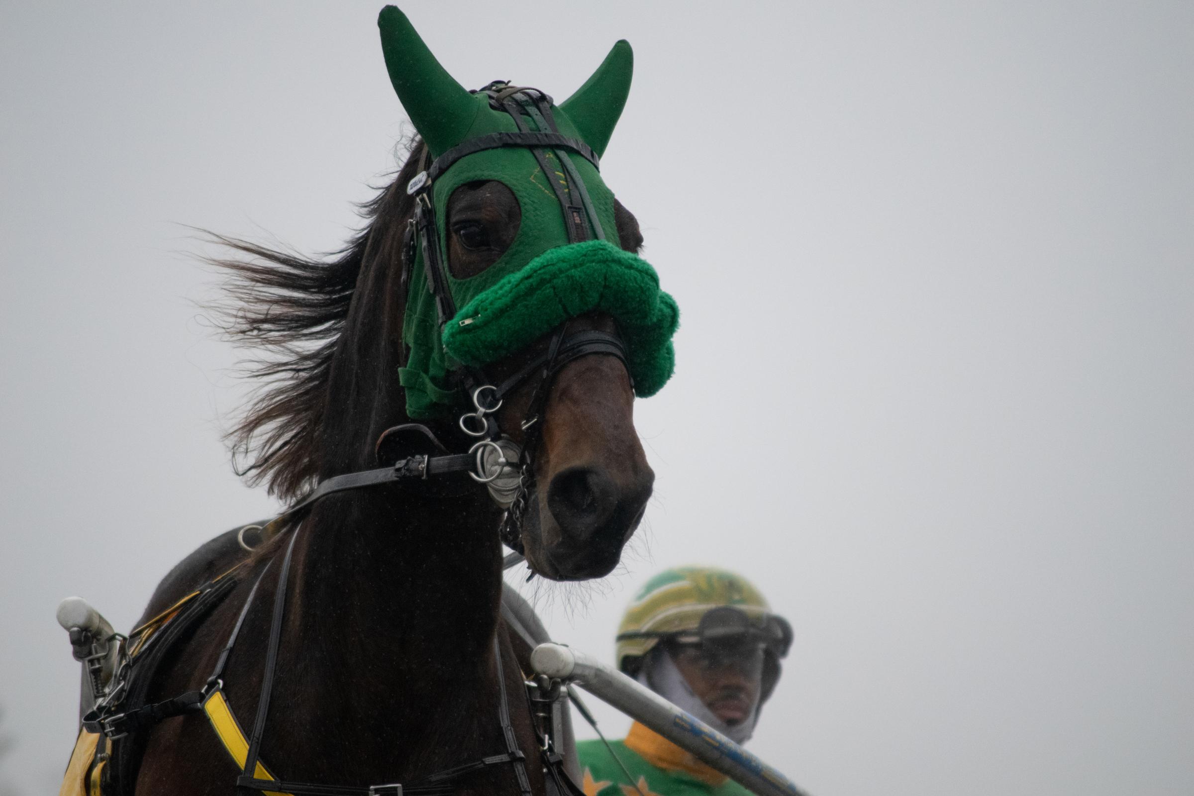 Horse Racing -  Horses compete in the last day of harness racing at the...
